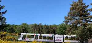 Le bel été du tourisme régional