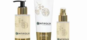 Les bienfaits de l'huile de Camélia Bio