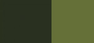 L'espadrille vante l'esprit ovale