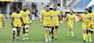 Champions Cup : l'ASM s'en va défier les Anglais des Wasps le 3 avril