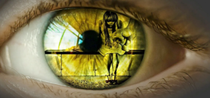 Violences faites aux femmes : premier bilan