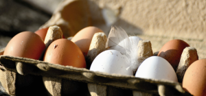 Un marché bio à Pontgibaud 