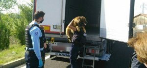 Vitesse, alcool et stupéfiants ne font pas bon ménage 