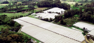 Greentech et Phytograde unis