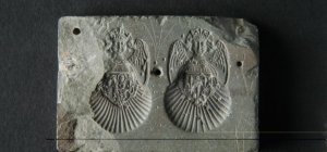 Lezoux : comme une impression de voyages