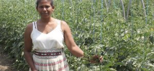 Des Patrouilles de produits frais