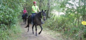 Le Trail des Six Burons toujours en course