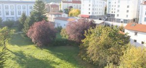 Parc des Petites Soeurs des Pauvres : les riverains mobilisés contre un projet immobilier