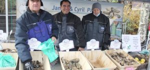 La famille Pain exporte ses huîtres d'Oléron depuis près de 50 ans