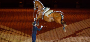 Le Cadre noir de Saumur au Zénith d'Auvergne : un spectacle magique et puissant