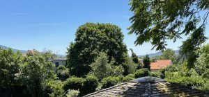 Cournon 2026 : certains riverains mettraient plus de « vert » dans ce projet d'envergure