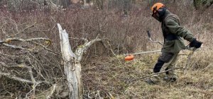 Zone maraîchère de Beaumont : le défrichage a débuté avant une mise en culture