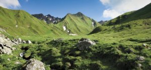 Vins, randonnées, balades... Suivez les guides !