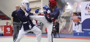 L'Artenium de Ceyrat capitale du Yoseikan Budo