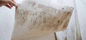 Problèmes d'humidité dans une maison : comment lutter ?