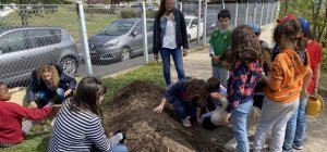Avec le printemps, c'est l'heure des semis pour les écoliers beaumontois