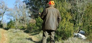 Chasseurs du Puy-de-Dôme : le bilan avant la reprise
