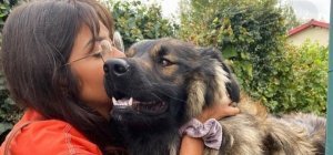 Romane Agostinho, l'amour des animaux 