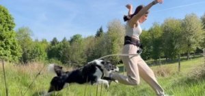 « Dog warrior » : le lycée de St Gervais d'Auvergne lance sa course d'obstacles canine