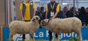 La durabilité au coeur du 31e Sommet de l'élevage