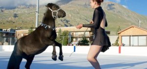 « Noël sur glace, les 5 légendes » : un spectacle grandiose à la patinoire