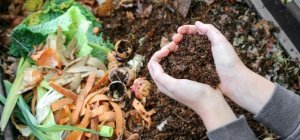 Le compost pour tous dès 2024