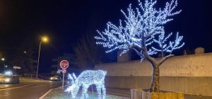 Beaumont se met à l'heure des fêtes en toute sobriété