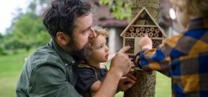 Hôtels à insectes et nichoirs : pourquoi sont-ils utiles dans nos jardins ?