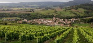 Grâce au boom des vins volcaniques,
l'Auvergne ambitionne d'agrandir son vignoble 