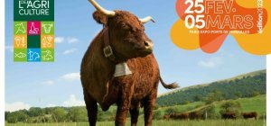 Vache Ovalie : quand Emmanuel Macron répond au groupe Wazoo