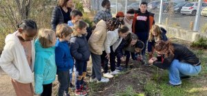 Les élèves de Beaumont sensibilisés au développement durable