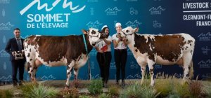 Sommet de l'élevage 2023 : la Géorgie invitée d'honneur de cette 32e édition