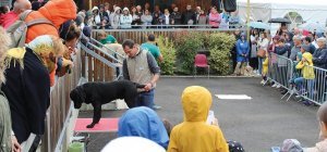 La Fête des Chiens Guides revient le 24 septembre et fait étape à Lezoux