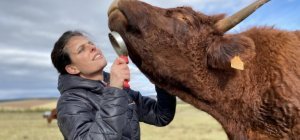 La 32e édition du Sommet de l'élevage du 3 au 6 octobre à la Grande Halle d'Auvergne