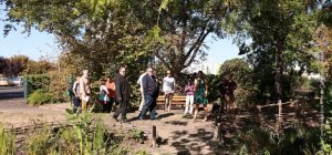 Clermont-Ferrand veut accélérer sa végétalisation