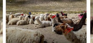 Gerzat : un film pour découvrir le Pérou