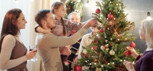 Une deuxième vie pour votre sapin de Noël