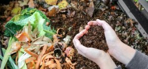 Nos déchets alimentaires sont une ressource : avec le VALTOM, compostons-les !