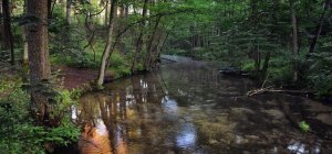 Méga-Bassines : une journée de mobilisation prévue le 11 mai dans le département