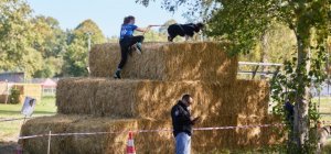 Saint-Gervais d'Auvergne : La Dog Warrior des Combrailles de retour dimanche