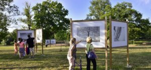 Une nouvelle expo photo s'installe au plan d'eau de Cournon-d'Auvergne