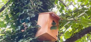 Beaumont lutte contre les chenilles processionnaires