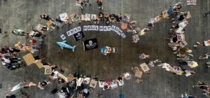 Députés et sénateurs demandent à Emmanuel Macron d'agir pour libérer Paul Watson, le défenseur de la vie marine