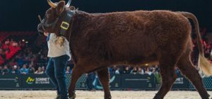 Sommet de l'élevage 2024 : dites 33 !