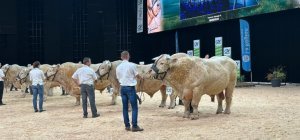 Sommet de l'élevage 2024 : la barre des 120 000 visiteurs franchie