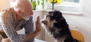 De la compagnie pour nos aînés