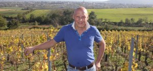 Laurent Vigneron, aux racines de la viticulture