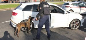 Maître-chien de gendarmerie : « Chercher une personne ou de la drogue passe par le jeu »