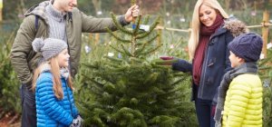 À chacun son sapin de Noël
