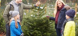 Les bons réflexes pour faire durer son sapin de Noël plus longtemps